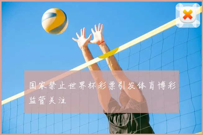 国家禁止世界杯彩票引发体育博彩监管关注