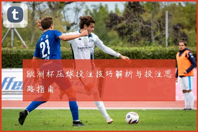 欧洲杯压球投注技巧解析与投注思路指南