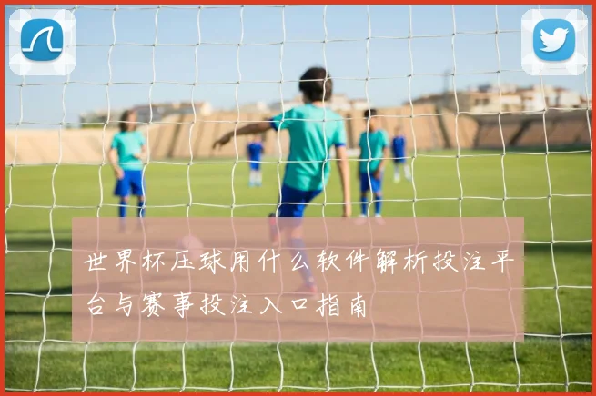 世界杯压球用什么软件解析投注平台与赛事投注入口指南