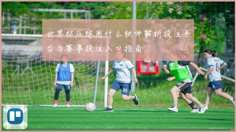 世界杯压球用什么软件解析投注平台与赛事投注入口指南