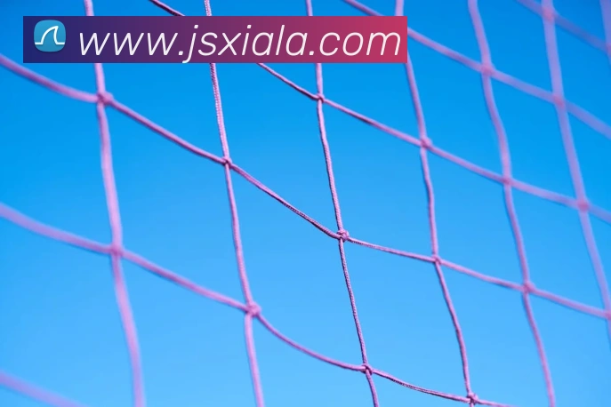 世界杯app平台APP 高清赛事图